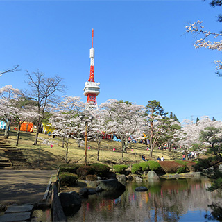 八幡山公園