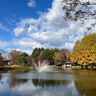 栃木県中央公園
