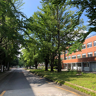 宇都宮大学